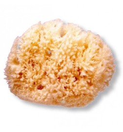 ESPONJA NATURAL SUAVINEX GD