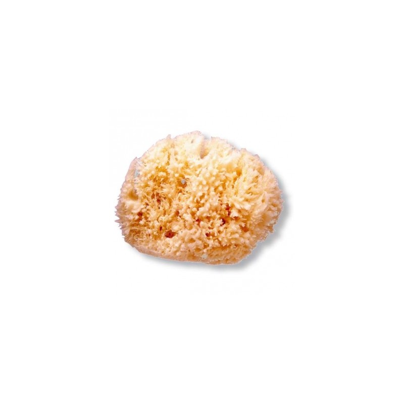 ESPONJA NATURAL SUAVINEX GD