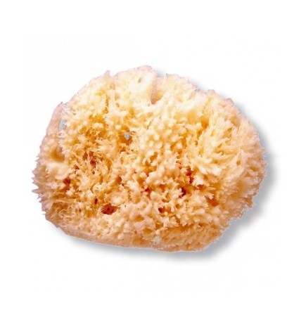 ESPONJA NATURAL SUAVINEX GD