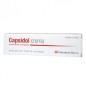 CAPSIDOL 025 MGG CREMA 30 G