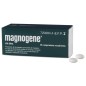 MAGNOGENE 45 COMPRIMIDOS RECUBIERTOS